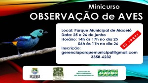 esse-1