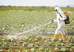 agrotoxicos2