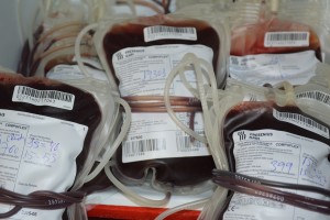 carla_cleto_20160726_1468941872