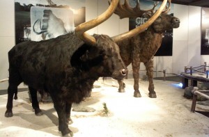 13104111082016_gigantes1