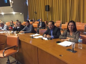 Reunião do Conselho Nacional de Representantes da Saúde (Conares) contou com dirigentes de todo o país.