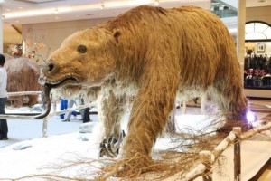 17520009092016_eradogelo1