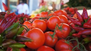 {751a7914e469e063e81e1365bf320210}_14a7d8dc_d835_4a2e_abfd_c1095ccf2996_730x410x0