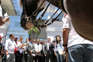 Após o término da reunião, os vaqueiros seguiram para a Assembleia Legislativa de Alagoas (ALE) onde serão recebidos pelo presidente da Casa