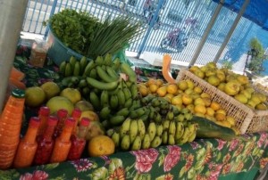 Feira Orgânica ocorrerá nesta sexta-feira (7) no pátio externo da Secretaria de Agricultura, Pecuária, Pesca e Aquicultura