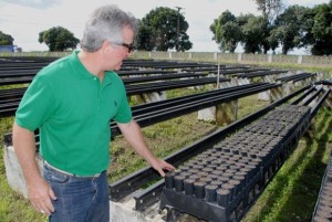Engenheiro agrônomo da Universidade Federal de Alagoas (Ufal) Clemens Fortes vai orientar os alunos sobre a criação de hortas caseiras e coletivas.