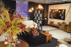 18432408112016_DSC_0719