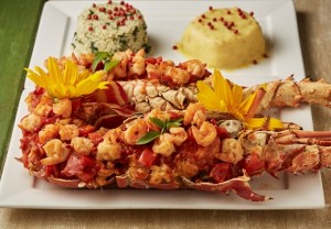 Lagosta Bem Vinda a Milagres (Pousada Vila Pantai by Companhia da Lagosta).