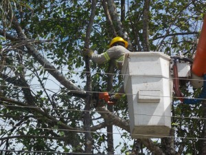 Eletrobras realiza manutenção no litoral Norte