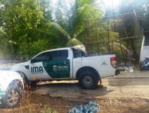 Animais foram recolhidos nessa quarta-feira (28) e levados para o Centro de Triagem de Animais Silvestres (Cetas), localizado na sede do Ibama, em Maceió.