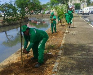 Trabalho de jardinagem e arborização foi iniciado nesta terça (14) pela Semds