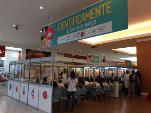 Shopping Patio Maceio - Atracoes