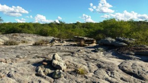 Na sexta-feira (28), data em que é comemorado nacionalmente o Dia da Caatinga, haverá uma trilha no Refúgio da Vida Silvestre dos Morros do Craunã e do Padre, Unidade de Conservação (UC) localizada no município de Água Branca