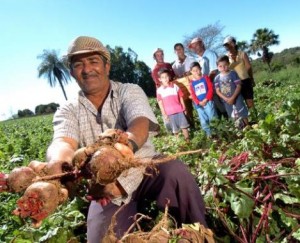 Lei-da-Agricultura-Familiar-141-469x380