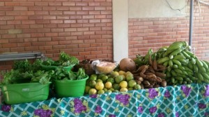 Feira orgânica da Semarh disponibilizou nesta terça-feira (2) produtos saudáveis para os consumidores na sede da Semarh