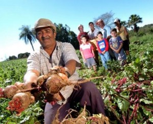 Lei-da-Agricultura-Familiar-141-469x380