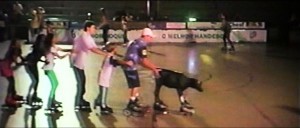 animal 10-2