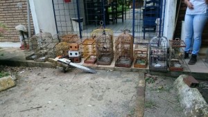 1207_APREENSAO_2