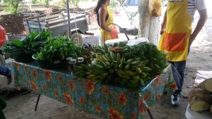 Feira 7 (1)