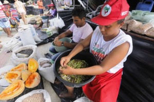 Com o tema Gerando Trabalho e Produzindo Alimentos Saudáveis, a Feira da Reforma Agrária teve início na quarta-feira (6) e segue até o sábado (9)