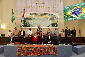 AUDIENCIA PUBLICA IDOSOS