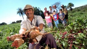 Lei-da-Agricultura-Familiar-141-469x268