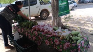 Feira Semarh - Ascom  (1)
