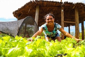 Ajudar na consolidação da lucratividade das cooperativas e associações que antes não conseguiam gerir com propriedade os recursos que detinham é um dos propósitos da Desenvolve durante o Governo Presente a partir desta quinta-feira (23)