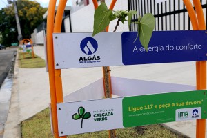 projeto_calcada_verde___fotos_ascom_ima_20171229_1346158502